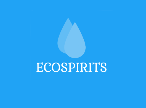 Featured image of post ecospirits.ru